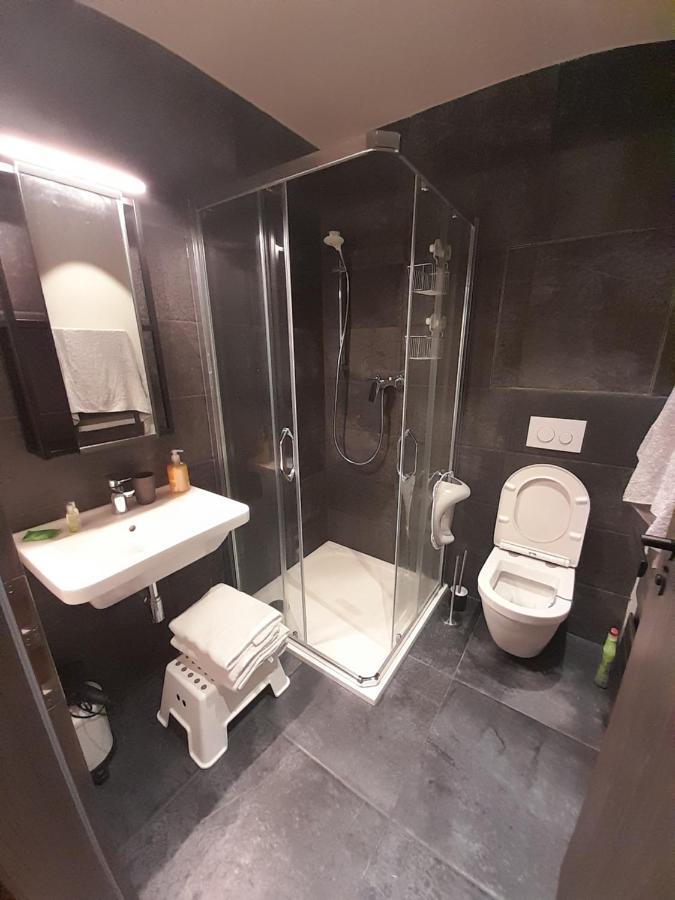 Apartman Pod Jasanem Hojsova Straz Brcalnik Apartment Zelezna Ruda Ngoại thất bức ảnh